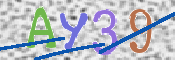 CAPTCHA 驗證圖片