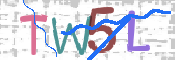CAPTCHA 驗證圖片