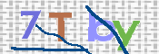 CAPTCHA 驗證圖片
