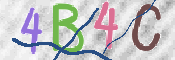 CAPTCHA 驗證圖片