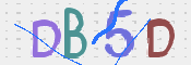 CAPTCHA 驗證圖片