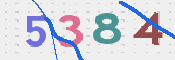 CAPTCHA 驗證圖片