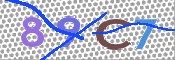 CAPTCHA 驗證圖片