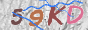 CAPTCHA 驗證圖片