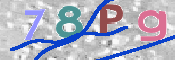 CAPTCHA 驗證圖片