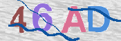 CAPTCHA 驗證圖片