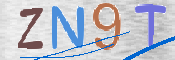 CAPTCHA 驗證圖片