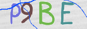 CAPTCHA 驗證圖片