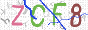 CAPTCHA 驗證圖片