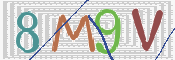 CAPTCHA 驗證圖片