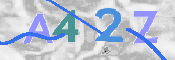 CAPTCHA 驗證圖片