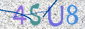 CAPTCHA 驗證圖片