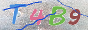 CAPTCHA 驗證圖片