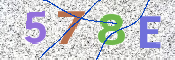 CAPTCHA 驗證圖片