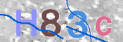 CAPTCHA 驗證圖片