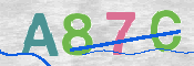 CAPTCHA 驗證圖片