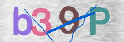 CAPTCHA 驗證圖片