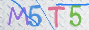 CAPTCHA 驗證圖片