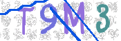 CAPTCHA 驗證圖片