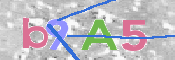 CAPTCHA 驗證圖片