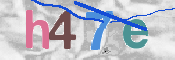 CAPTCHA 驗證圖片