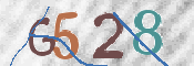 CAPTCHA 驗證圖片