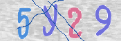 CAPTCHA 驗證圖片