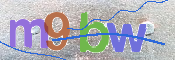 CAPTCHA 驗證圖片