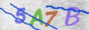 CAPTCHA 驗證圖片