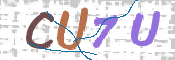 CAPTCHA 驗證圖片