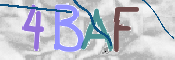 CAPTCHA 驗證圖片