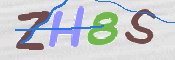 CAPTCHA 驗證圖片