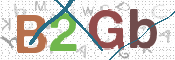 CAPTCHA 驗證圖片