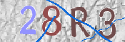 CAPTCHA 驗證圖片