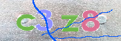 CAPTCHA 驗證圖片