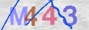 CAPTCHA 驗證圖片