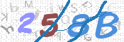 CAPTCHA 驗證圖片