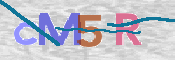 CAPTCHA 驗證圖片