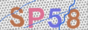 CAPTCHA 驗證圖片