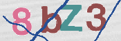 CAPTCHA 驗證圖片