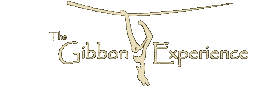 gibbon_experience_01