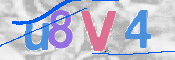 CAPTCHA 驗證圖片