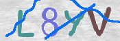 CAPTCHA 驗證圖片