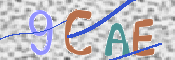 CAPTCHA 驗證圖片