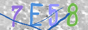 CAPTCHA 驗證圖片