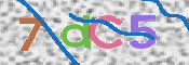 CAPTCHA 驗證圖片