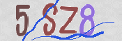 CAPTCHA 驗證圖片