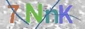 CAPTCHA 驗證圖片