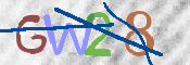 CAPTCHA 驗證圖片