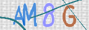 CAPTCHA 驗證圖片